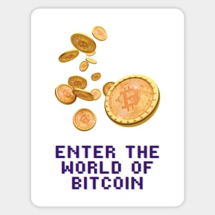 Enter The World Of Bitcoin Sticker